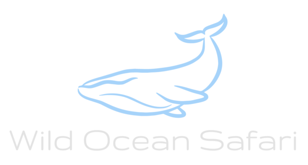 WOS_Logo 10